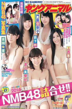 宿命之敌电视剧免费观看
